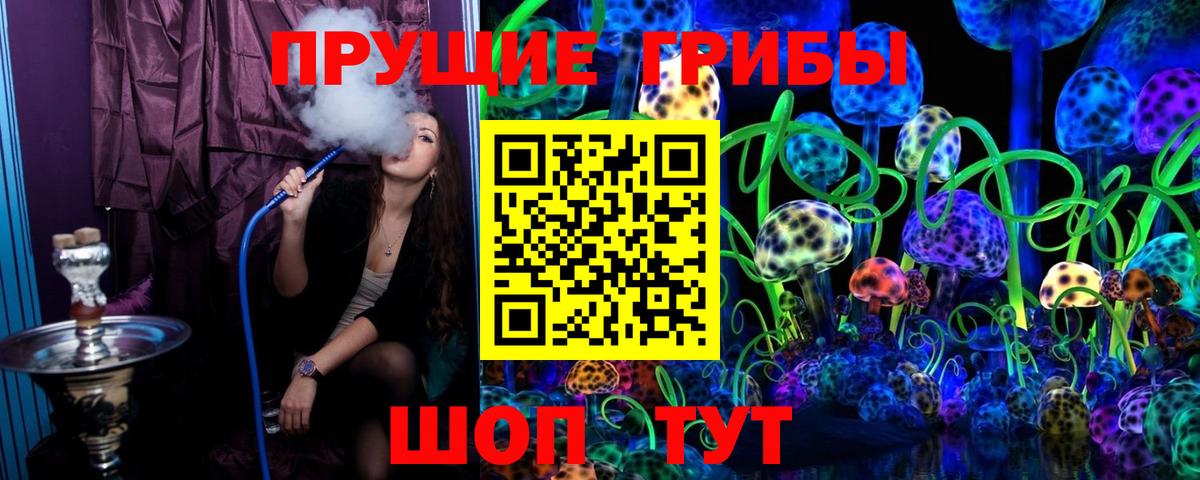Черемхово  Псилоцибиновые грибы GOLDEN TEACHER  Вход с VPN  Галлюциногенные грибы Psilocybe 
